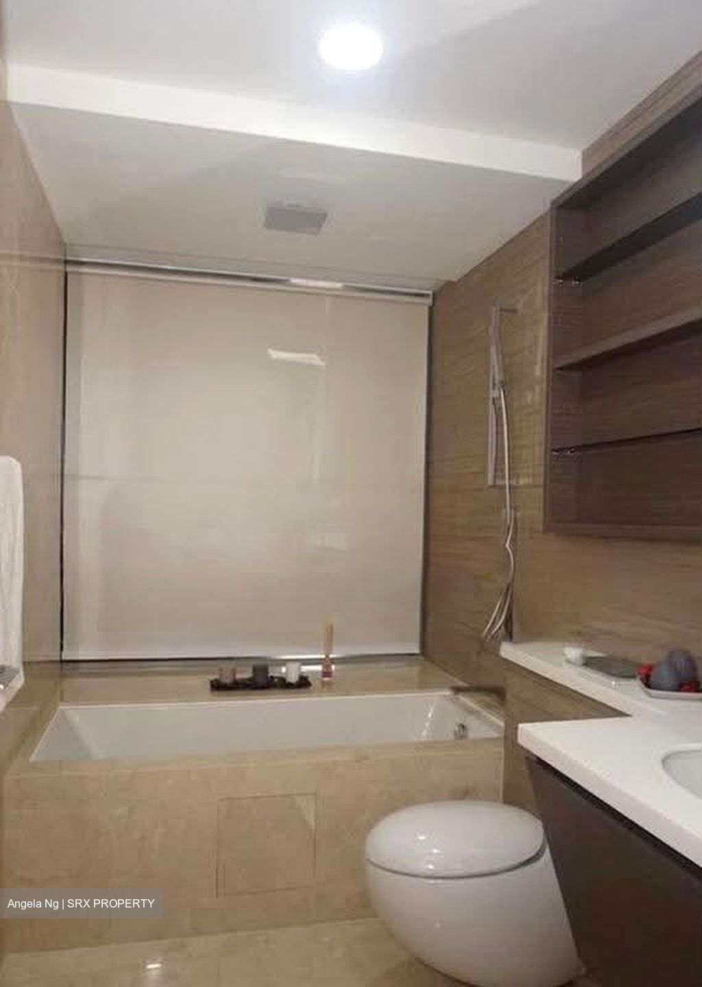 V On Shenton (D1), Apartment #638264251